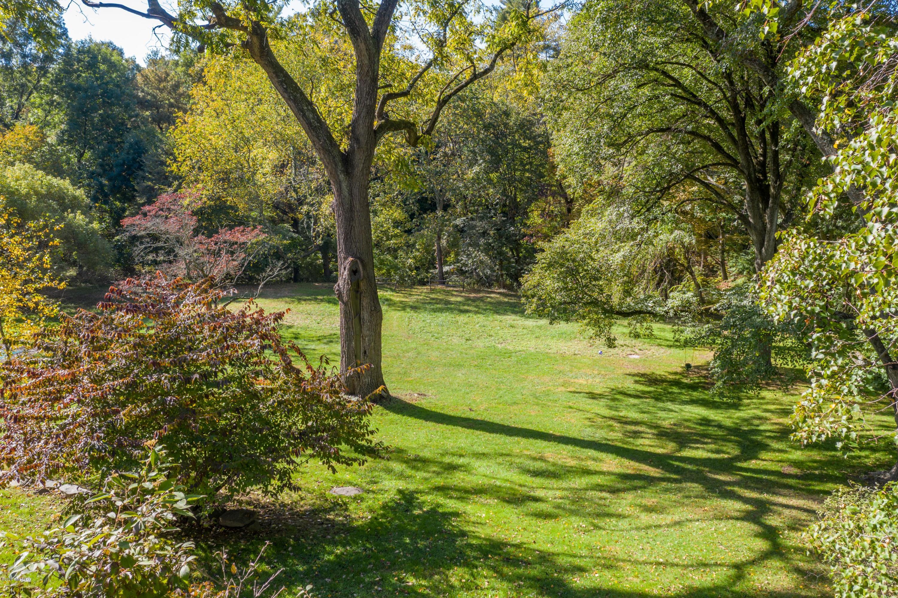 262 Stanwich Road Greenwich, CT 06830 - Photo 8 of 32 a view of a trees with a yard