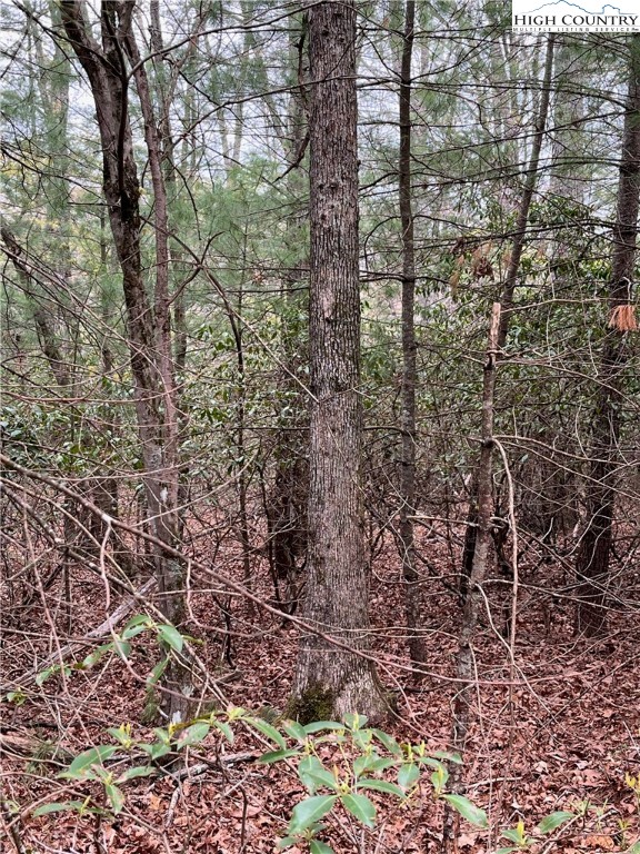 To Be Determined To Be Determined Rivers Edge Road Sparta, NC 28675 - Photo 11 of 38 Gallery Image 11