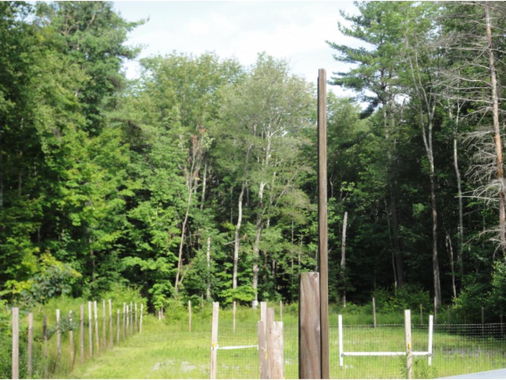 282 Meadow Road New Boston, NH 03070 - Photo 26 of 27