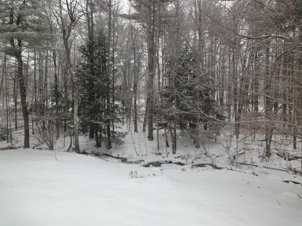 282 Meadow Road New Boston, NH 03070 - Photo 10 of 27