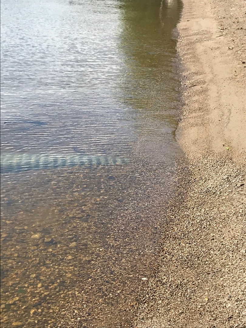 77 Mineola Road, Unit 77 Fox Lake, IL 60020 - Photo 20 of 24 a bathroom with a shower