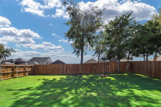 a view of a backyard with plants and large tree