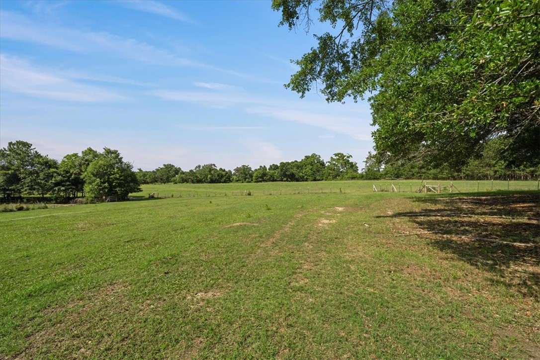 100 Princeton Highway Honea Path, SC 29654 - Photo 41 of 50 Pasture