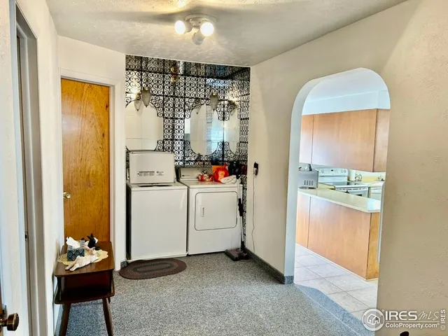 a view of a storage & utility room with closet dryer and potted plant