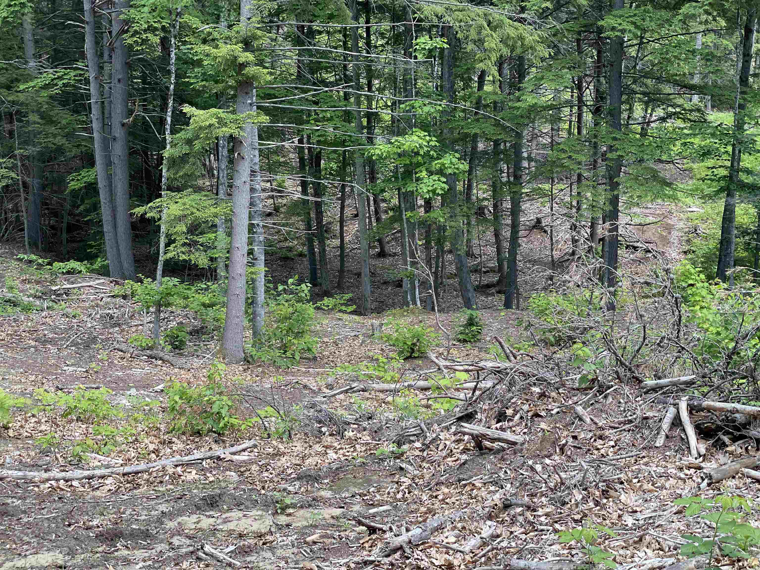 0 Jack Russell Road, Unit 408452 Effingham, NH 03882 - Photo 13 of 32 Gallery Image 13
