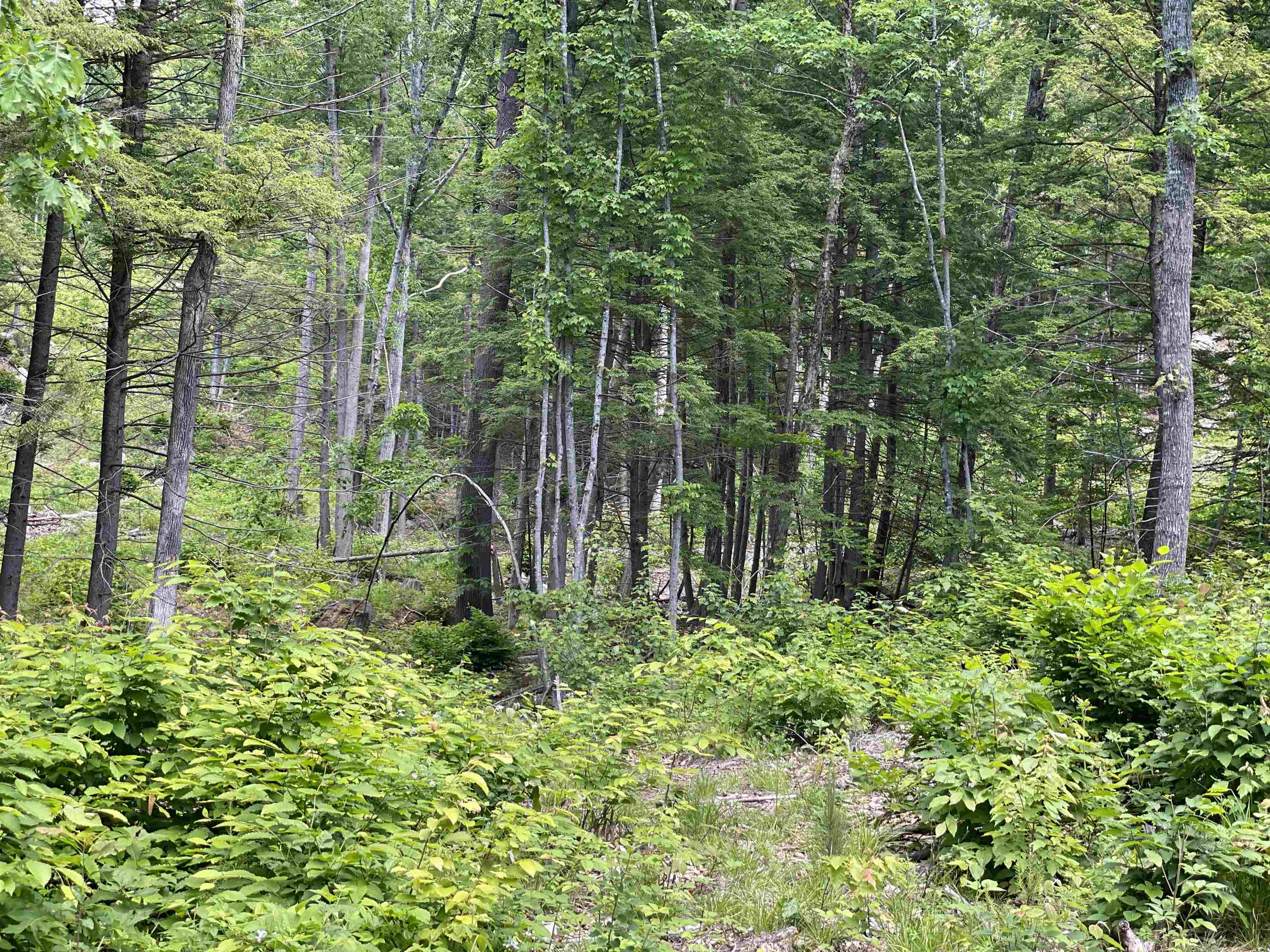 0 Jack Russell Road, Unit 408452 Effingham, NH 03882 - Photo 18 of 32 Gallery Image 18