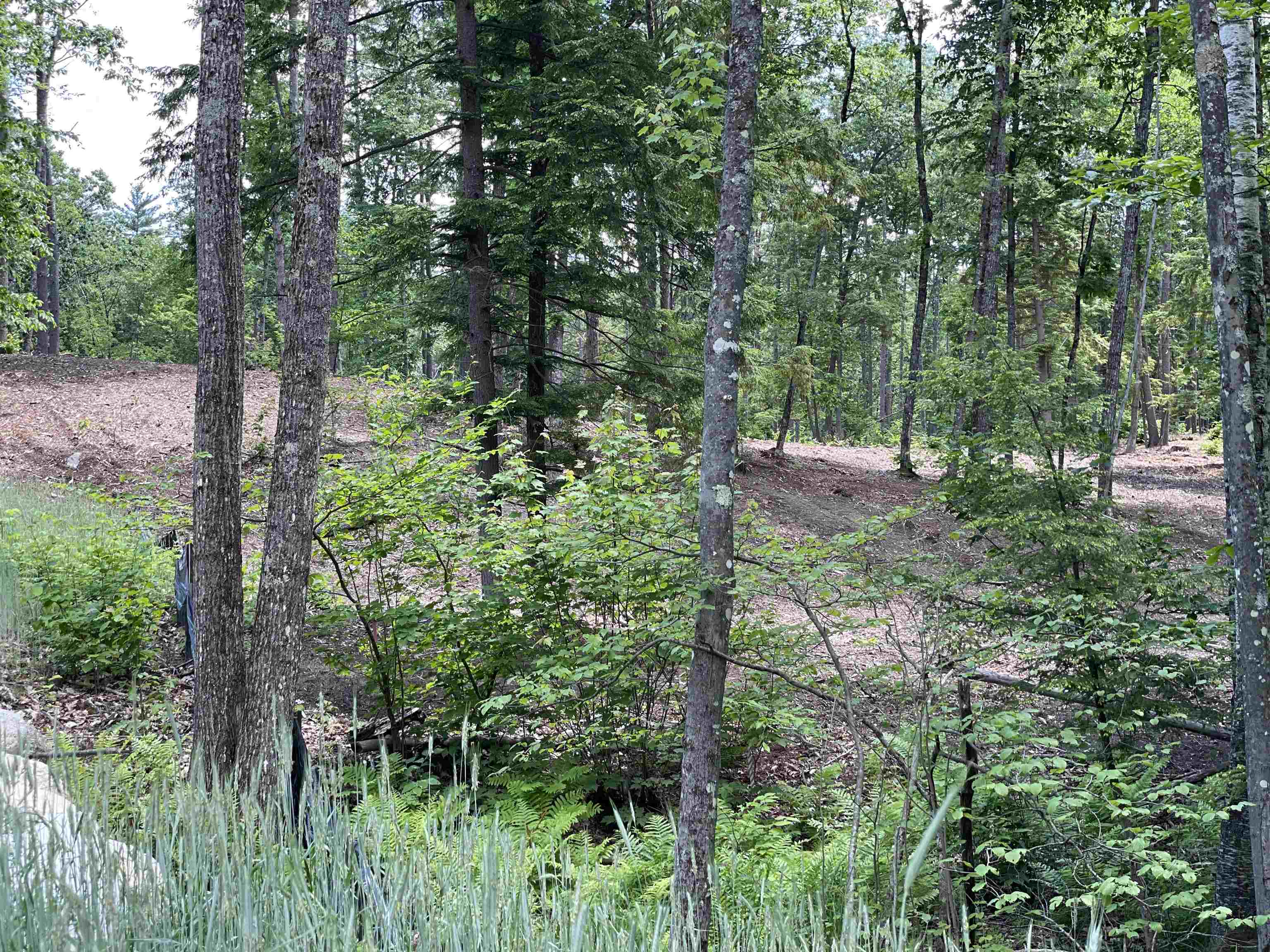 0 Jack Russell Road, Unit 408452 Effingham, NH 03882 - Photo 19 of 32 Gallery Image 19