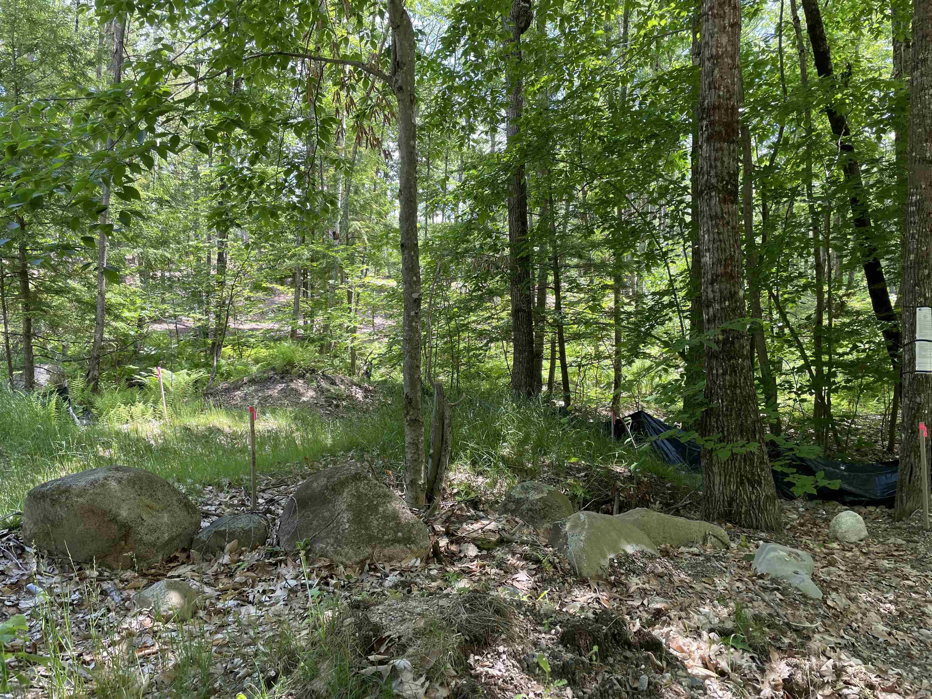 0 Jack Russell Road, Unit 408452 Effingham, NH 03882 - Photo 20 of 32 Gallery Image 20