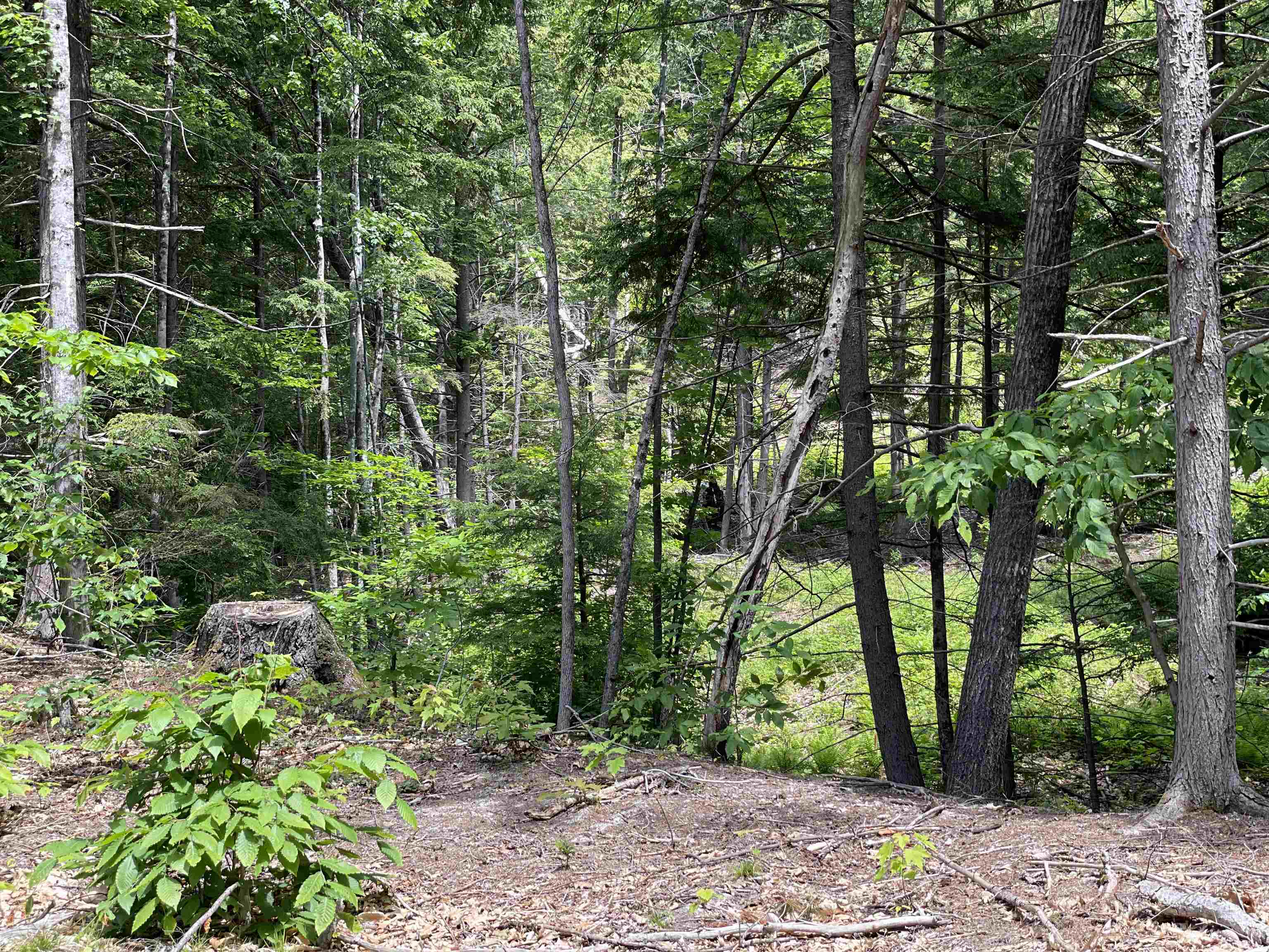 0 Jack Russell Road, Unit 408452 Effingham, NH 03882 - Photo 3 of 32 Gallery Image 3