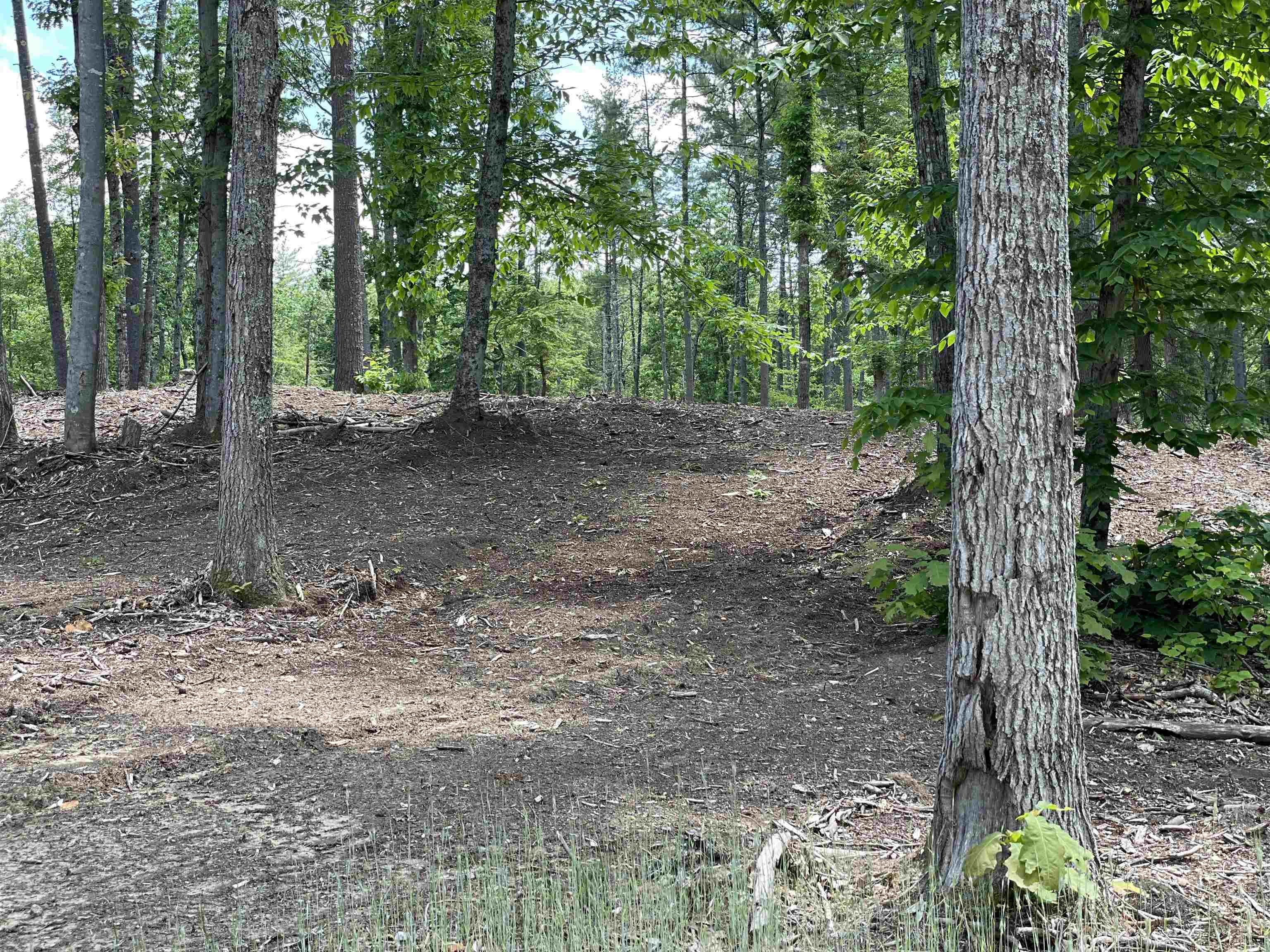 0 Jack Russell Road, Unit 408452 Effingham, NH 03882 - Photo 5 of 32 Gallery Image 5