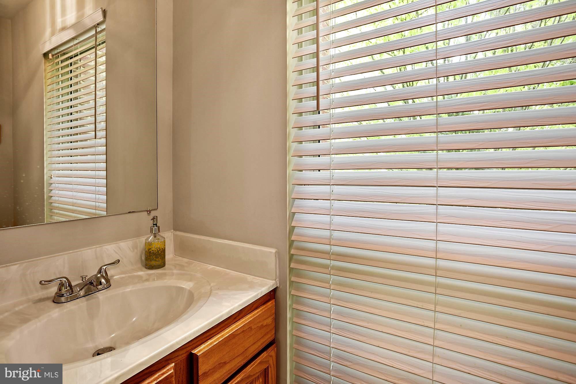 12062 Edgemere Circle Reston, VA 20190 - Photo 11 of 25 a bathroom with a sink and a mirror