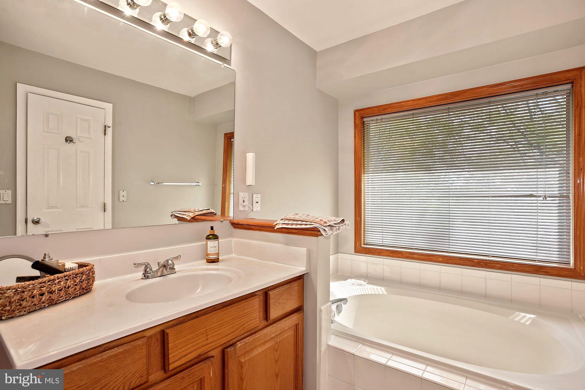 12062 Edgemere Circle Reston, VA 20190 - Photo 15 of 25 a bathroom with a sink vanity tub and a mirror