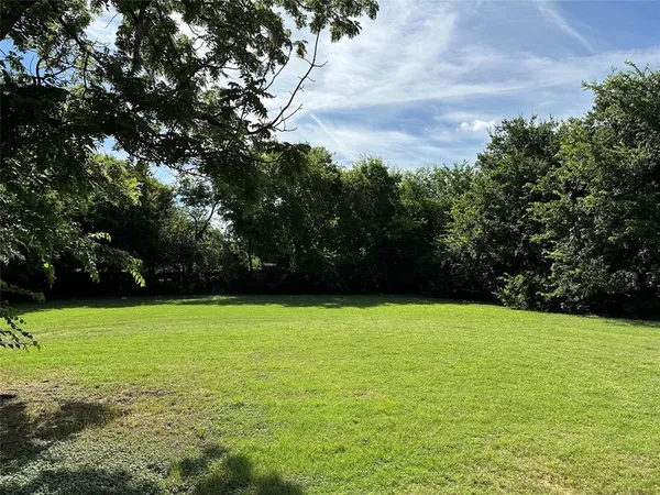 a view of a field with an trees