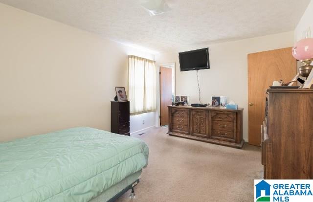 165 Goodwin Lane Talladega, AL 35160 - Photo 22 of 37