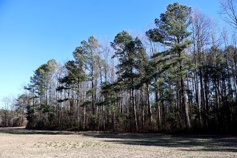 Tbd South Old Wire Road Maxton, NC 28364 - Photo 18 of 38 Photo 18
