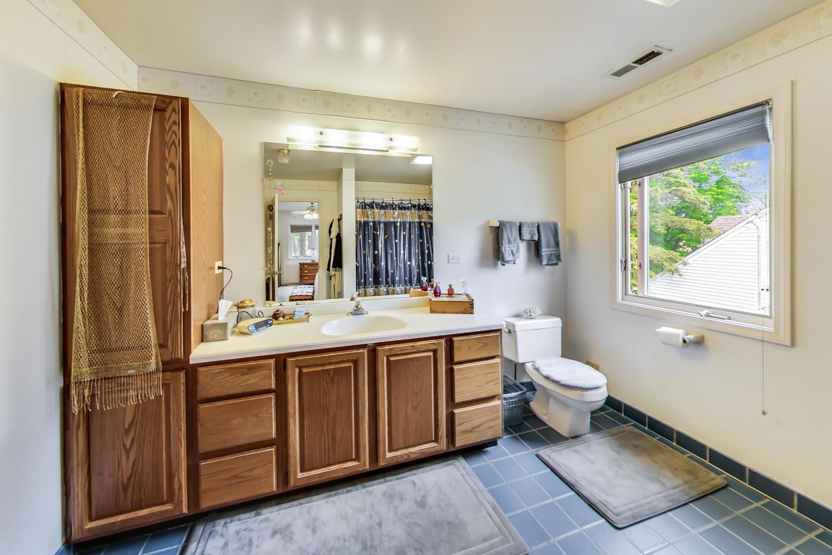 701 South Seminary Avenue Park Ridge, IL 60068 - Photo 30 of 60 a spacious bathroom with a double vanity sink a mirror and a toilet