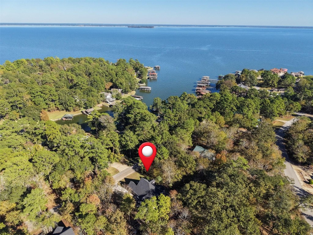 110 Lords Circle Coldspring, TX 77331 - Photo 27 of 34 a view of a plants and an entryway