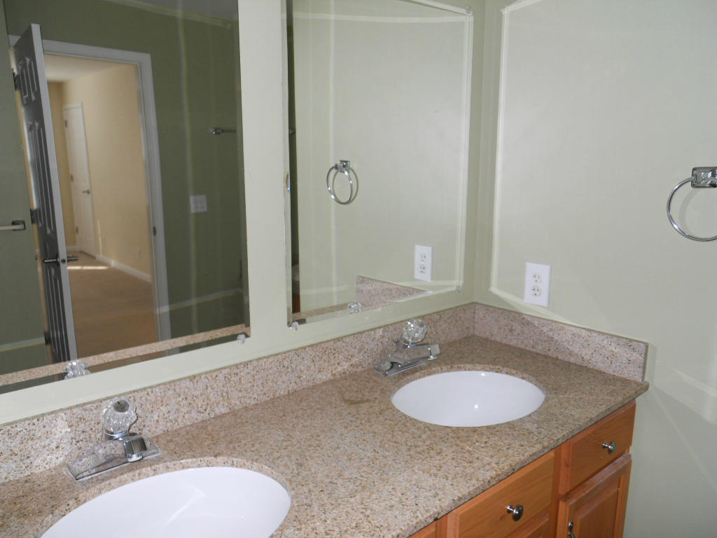 537 Sprinkle Road Fincastle, VA 24090 - Photo 11 of 23 Master Bath