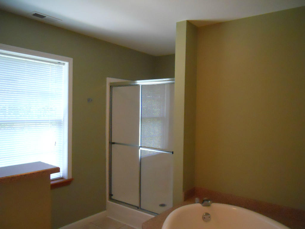 537 Sprinkle Road Fincastle, VA 24090 - Photo 12 of 23 Master Bath 2