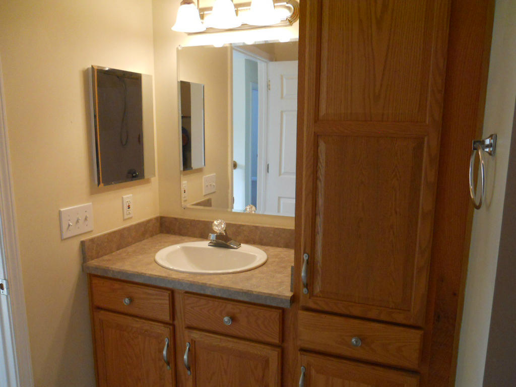 537 Sprinkle Road Fincastle, VA 24090 - Photo 16 of 23 Hall Bath 2