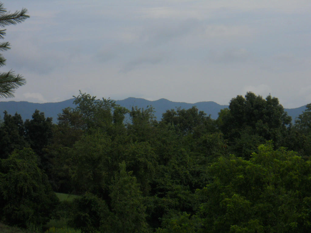 537 Sprinkle Road Fincastle, VA 24090 - Photo 23 of 23 Views