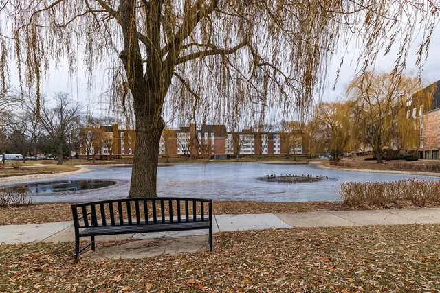 a view of a swimming pool with a yard