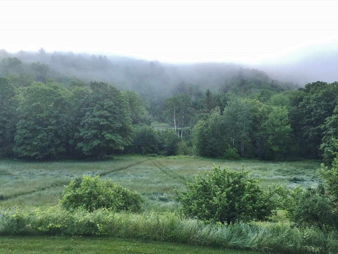 293 Newton Road Reading, VT 05062 - Photo 18 of 23