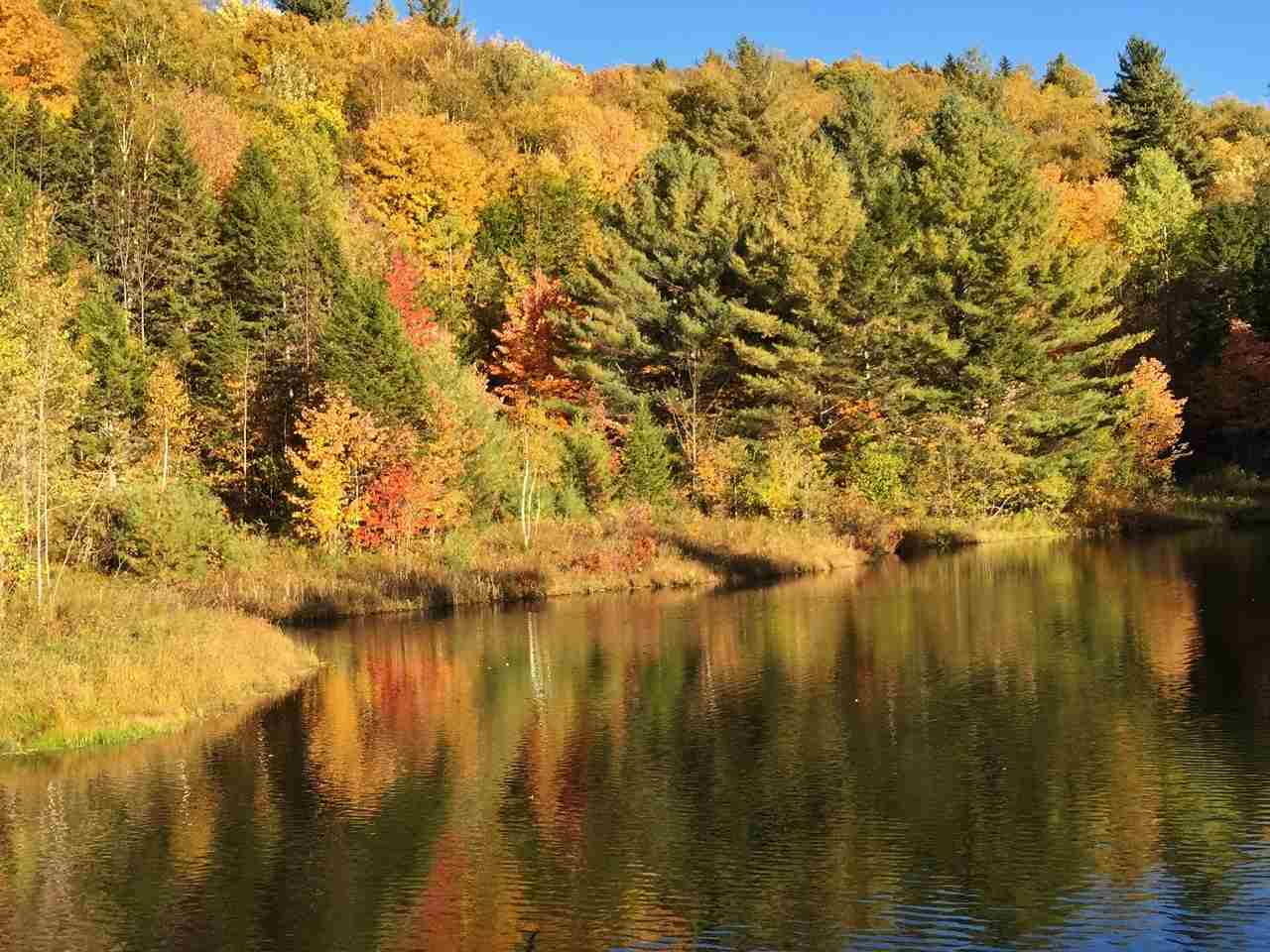 293 Newton Road Reading, VT 05062 - Photo 19 of 23