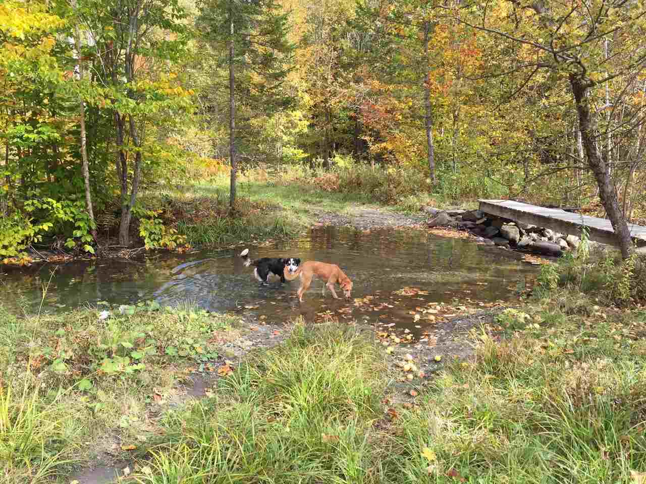 293 Newton Road Reading, VT 05062 - Photo 20 of 23