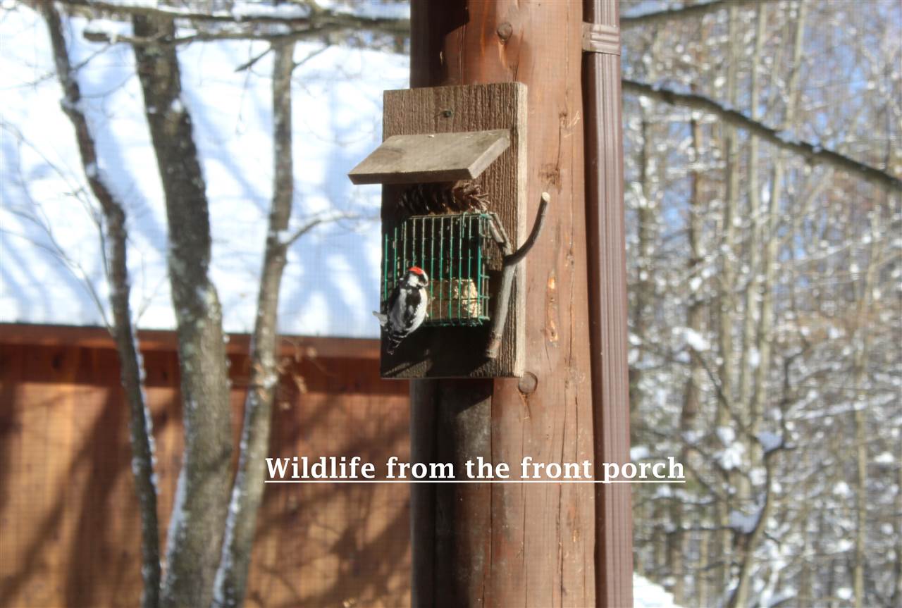 698 Rice Hill Road Sheldon, VT 05457 - Photo 40 of 40 Gallery Image 40