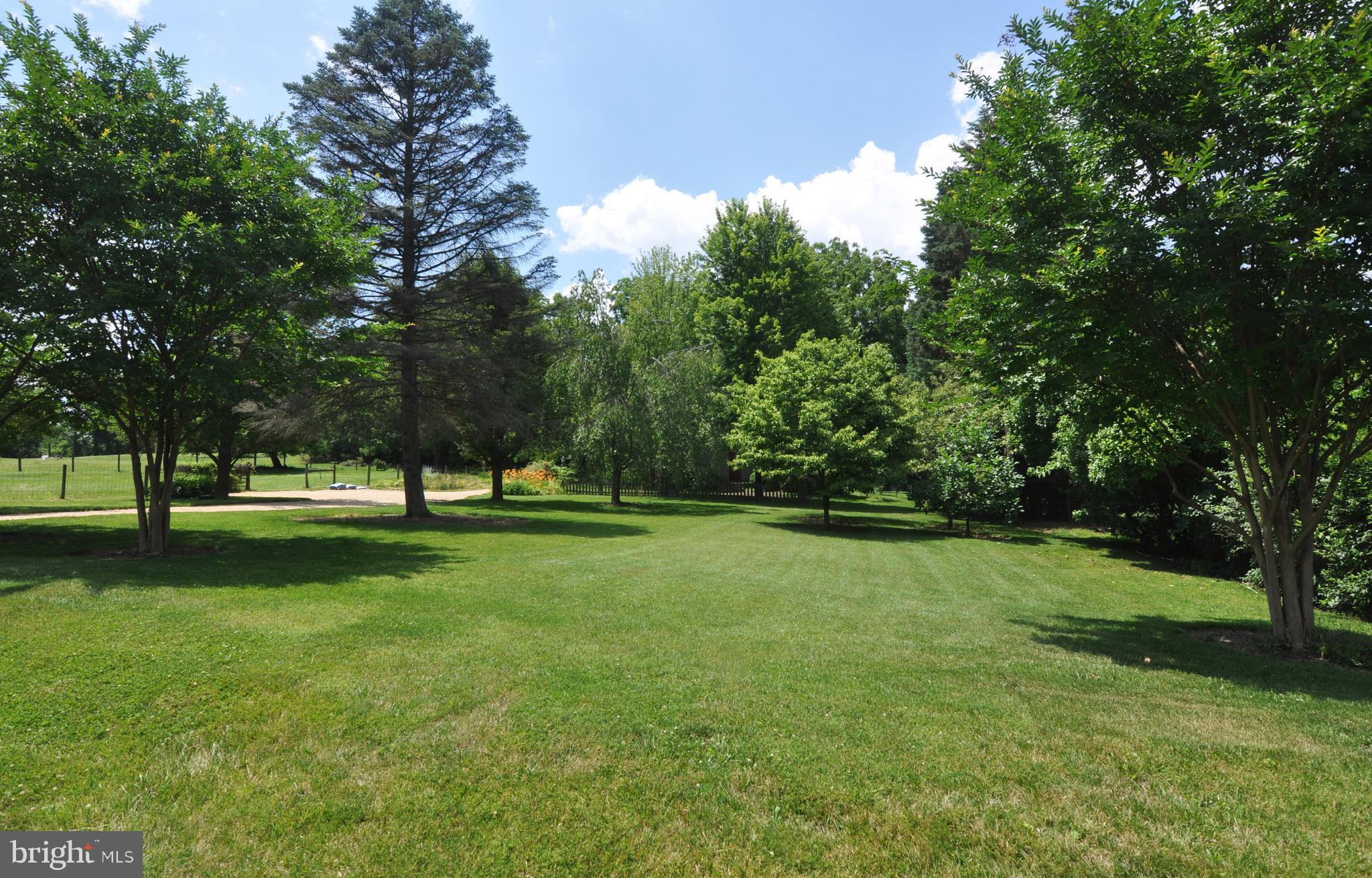 3591 Apple Pie Ridge Road Winchester, VA 22603 - Photo 11 of 44 Lawn