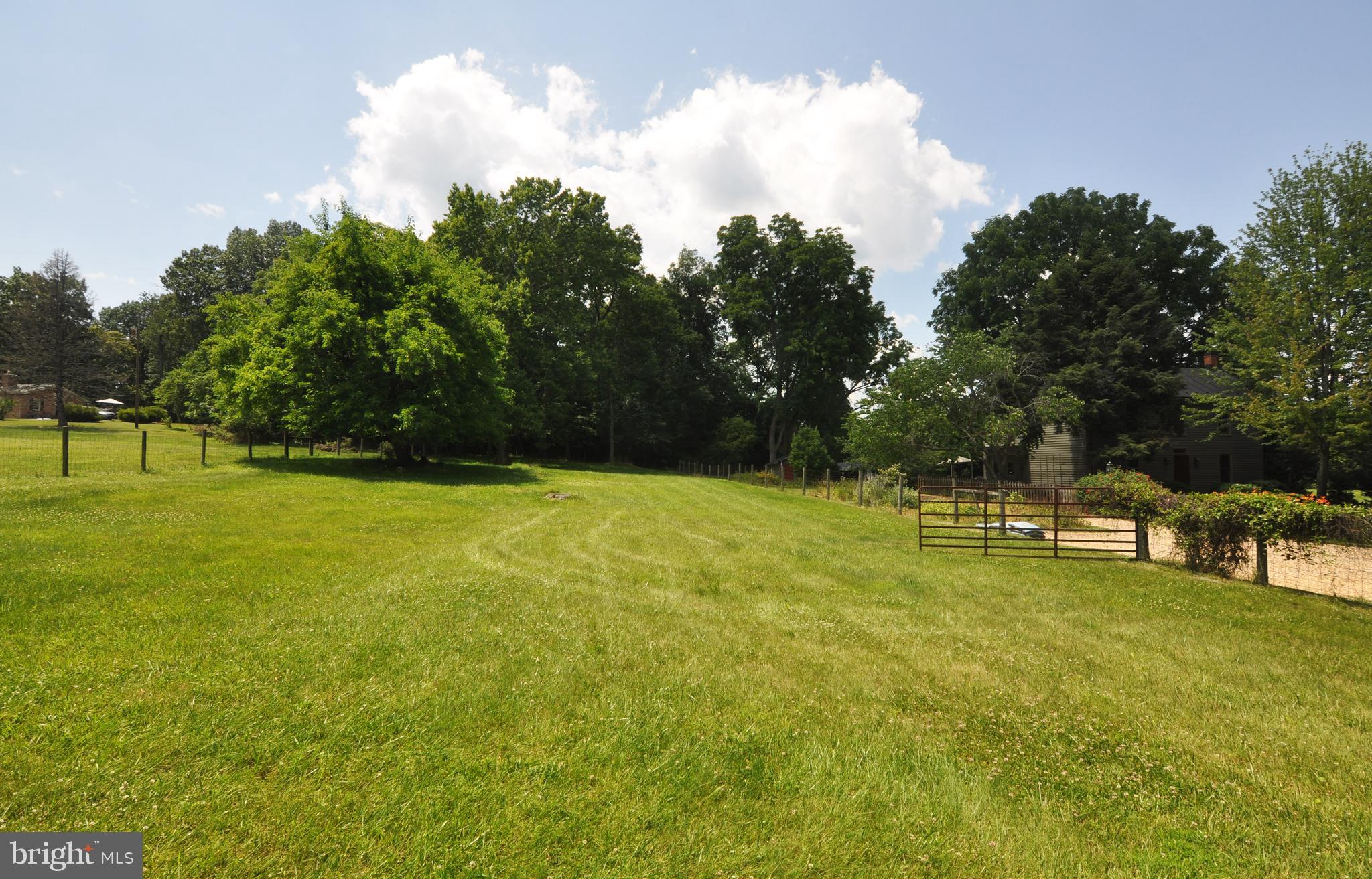 3591 Apple Pie Ridge Road Winchester, VA 22603 - Photo 13 of 44 Field