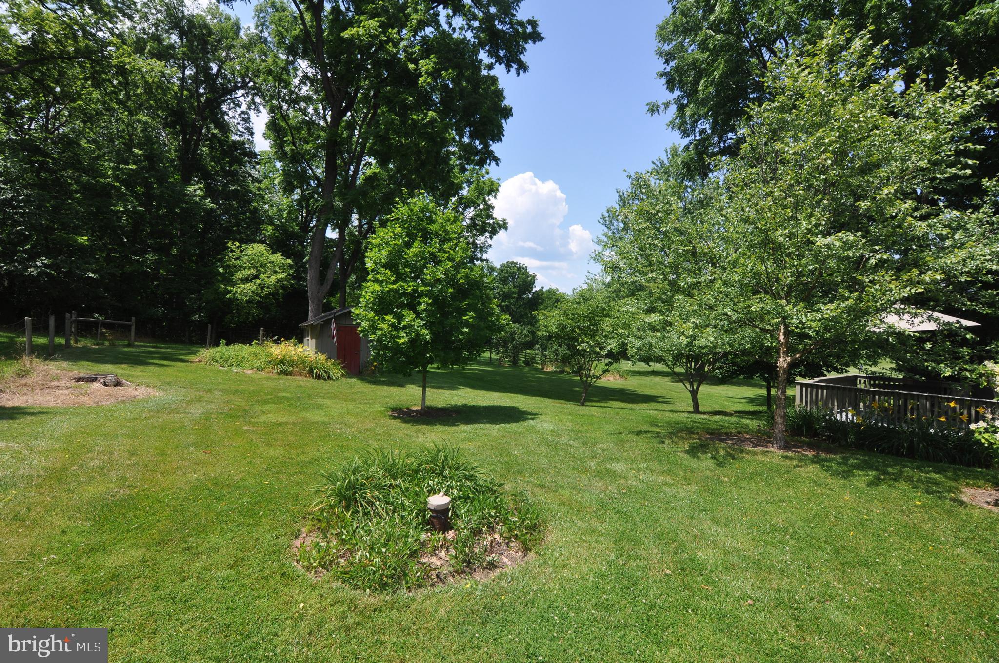 3591 Apple Pie Ridge Road Winchester, VA 22603 - Photo 14 of 44 Rear yard