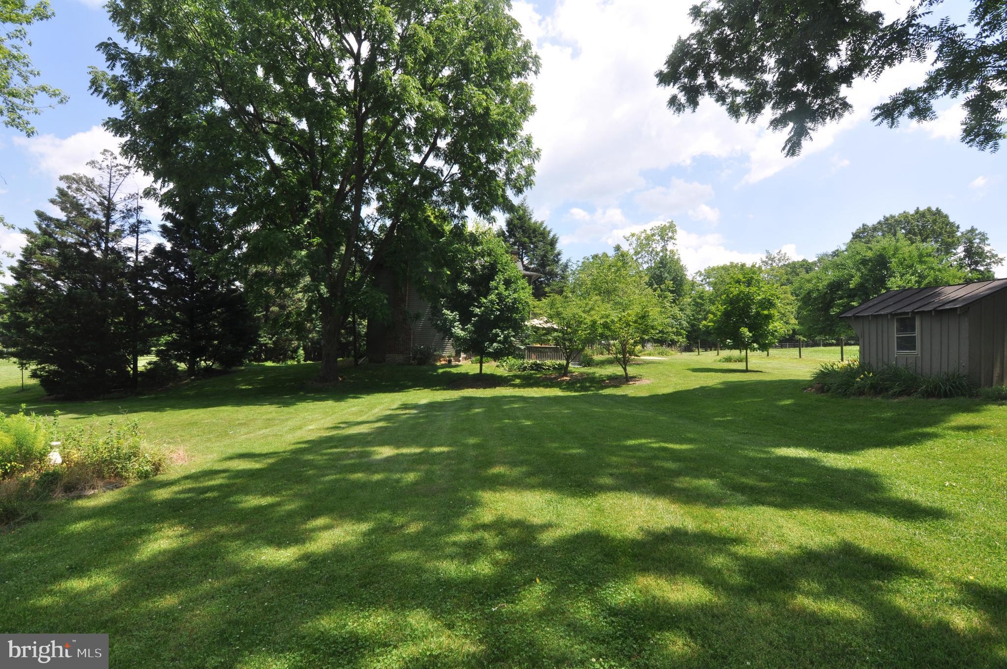 3591 Apple Pie Ridge Road Winchester, VA 22603 - Photo 15 of 44 Yard