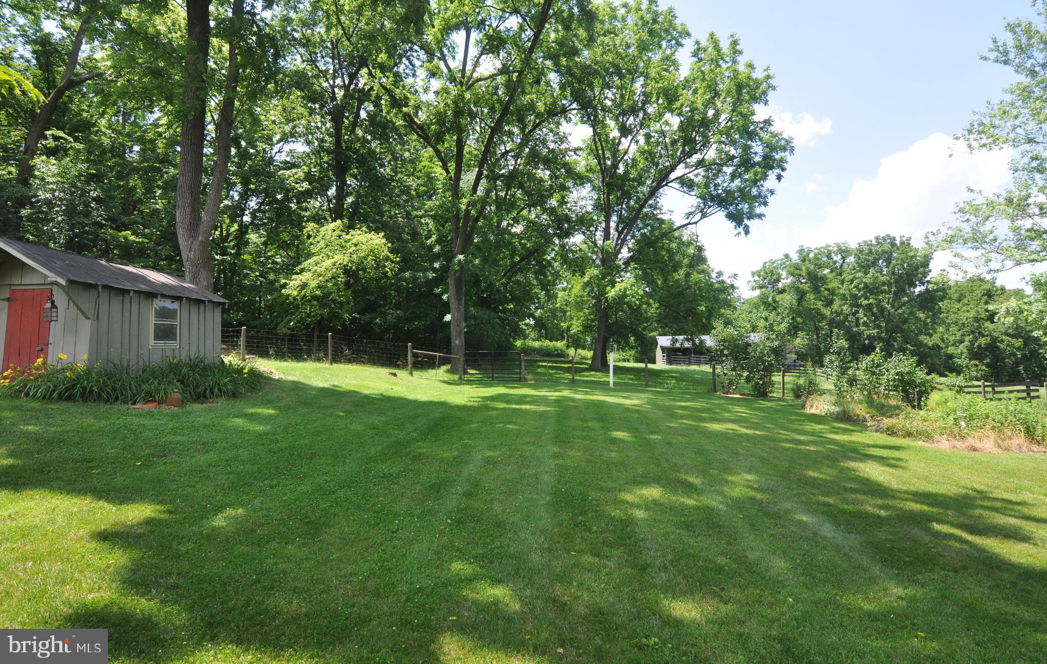 3591 Apple Pie Ridge Road Winchester, VA 22603 - Photo 18 of 44 Rear yard