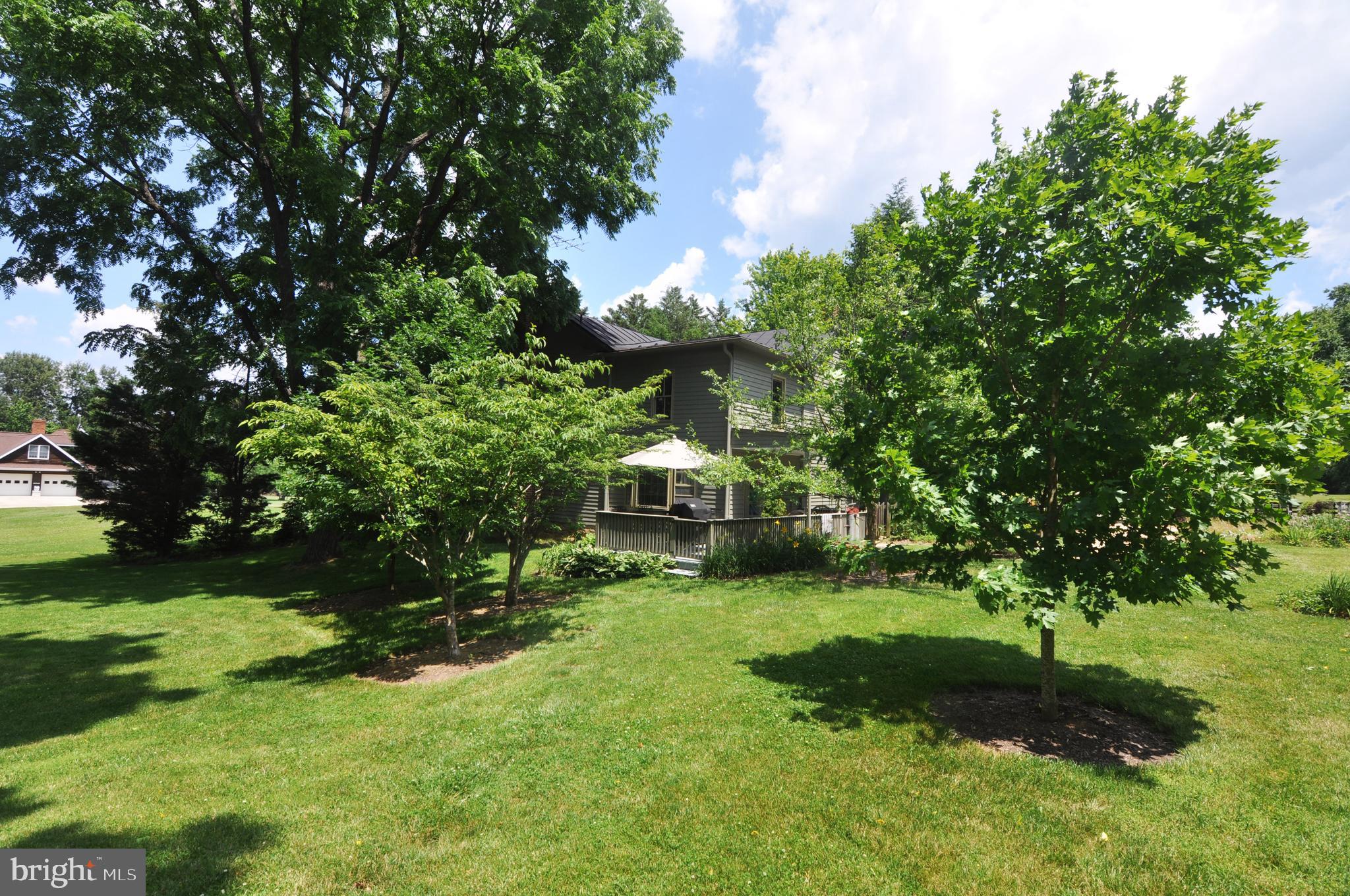 3591 Apple Pie Ridge Road Winchester, VA 22603 - Photo 19 of 44 Rear yard
