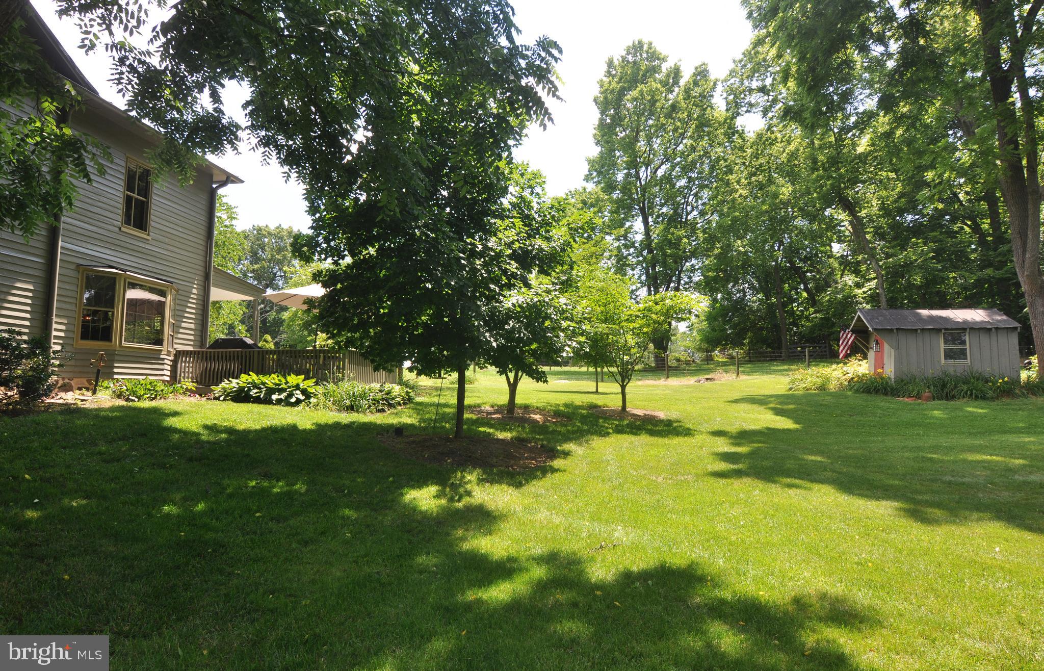 3591 Apple Pie Ridge Road Winchester, VA 22603 - Photo 20 of 44 Rear yard