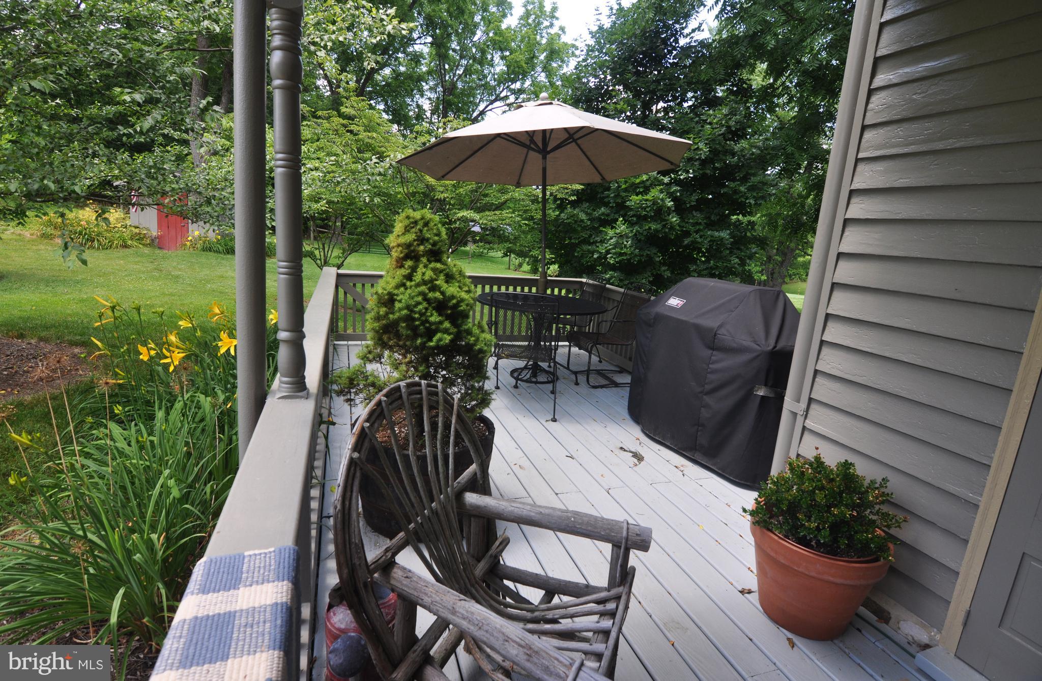 3591 Apple Pie Ridge Road Winchester, VA 22603 - Photo 24 of 44 Deck