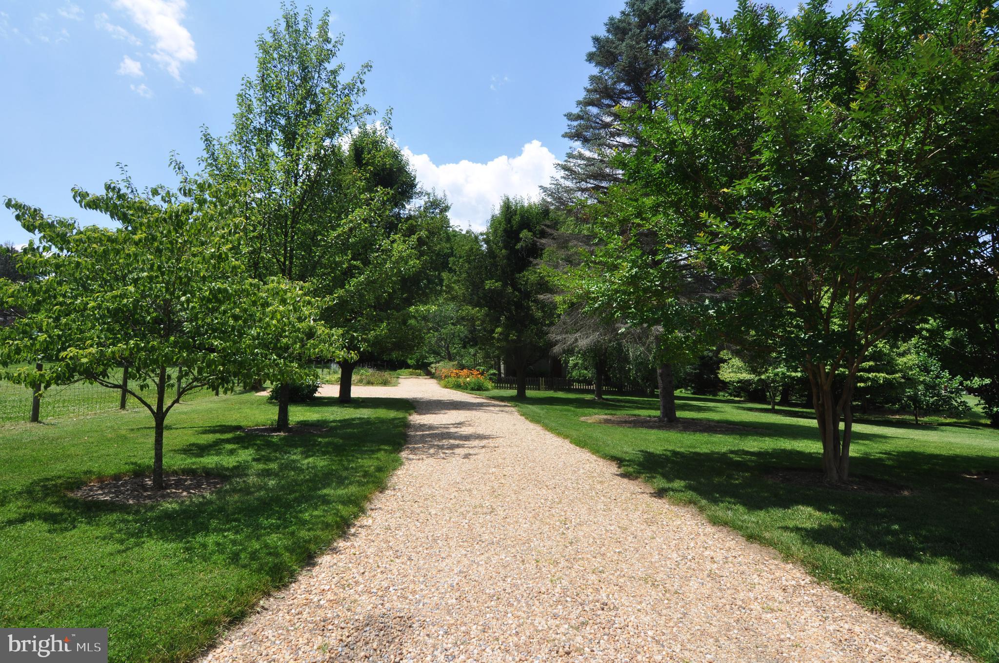 3591 Apple Pie Ridge Road Winchester, VA 22603 - Photo 9 of 44 Driveway to the house