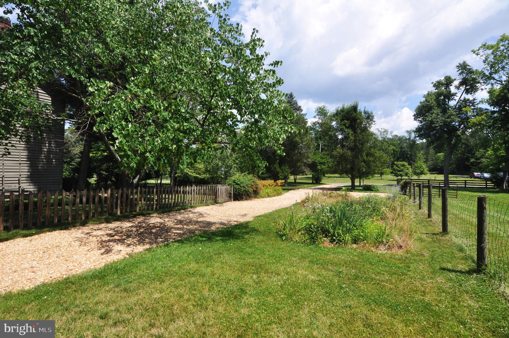 3591 Apple Pie Ridge Road Winchester, VA 22603 - Photo 10 of 44 Driveway looking toward the road