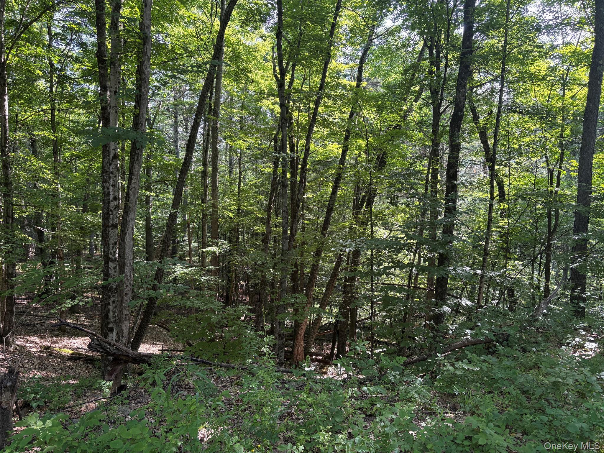 Crescent Road Gilboa, NY 12076 - Photo 2 of 7 Gallery Image 2