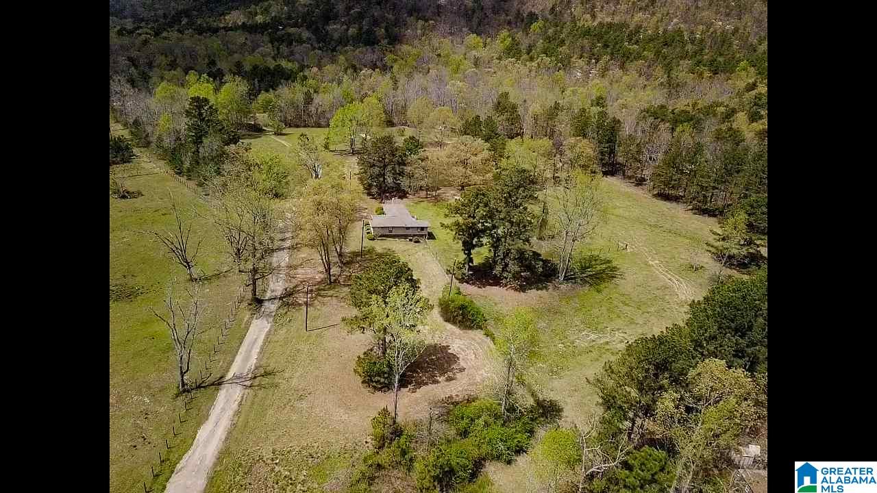 346 Hunters Lane Vandiver, AL 35176 - Photo 14 of 38