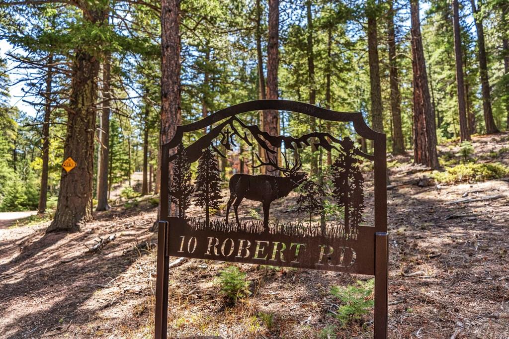 10 Robert Road Rye, CO 81069 - Photo 3 of 102