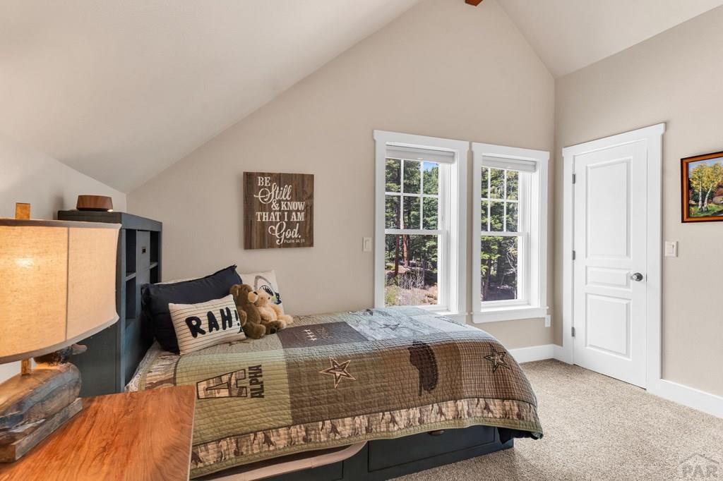 10 Robert Road Rye, CO 81069 - Photo 40 of 102