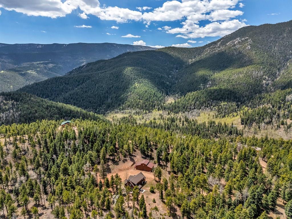10 Robert Road Rye, CO 81069 - Photo 93 of 102 a view of a house with a mountain and a forest