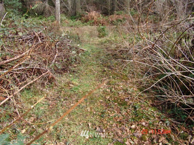 601 East Victor Road Belfair, WA 98528 - Photo 16 of 16