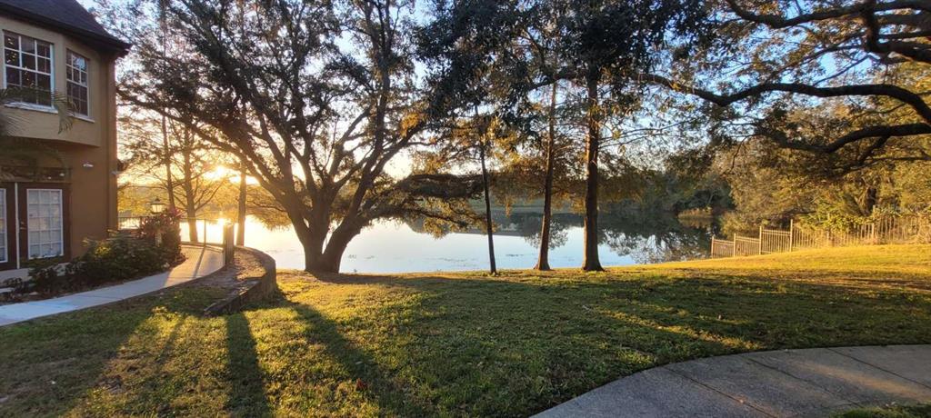 a view of large trees with yard