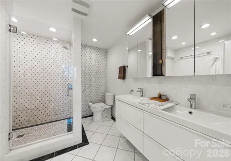 a bathroom with a sink a toilet and a large mirror