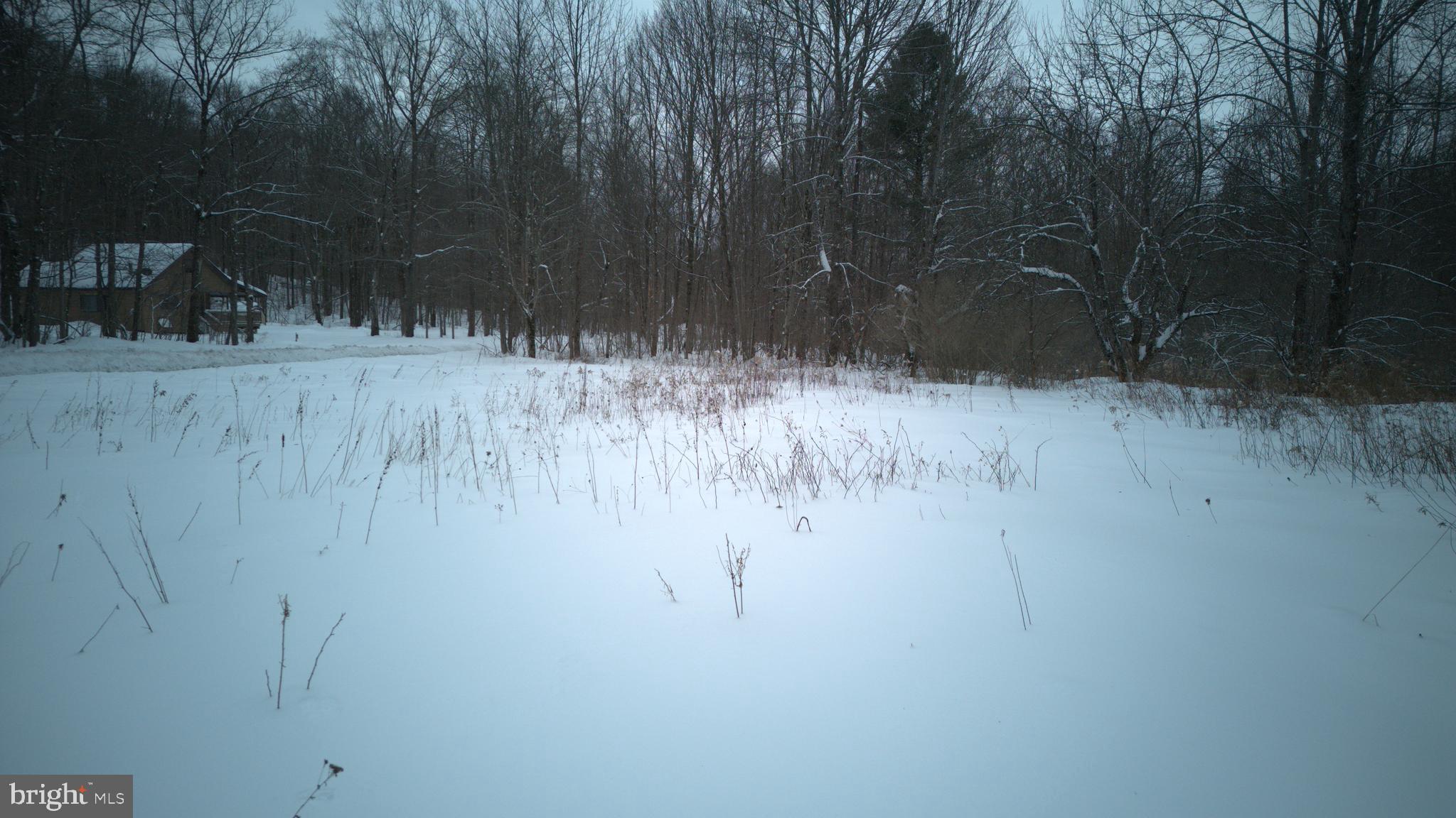 0 Shrawder Mountain Road Starrucca, PA 18462 - Photo 21 of 21 Gallery Image 21