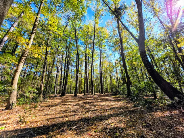 $315,000 | 3047 Fickling Hill Road, Unit C1, Johns Island, SC 29455